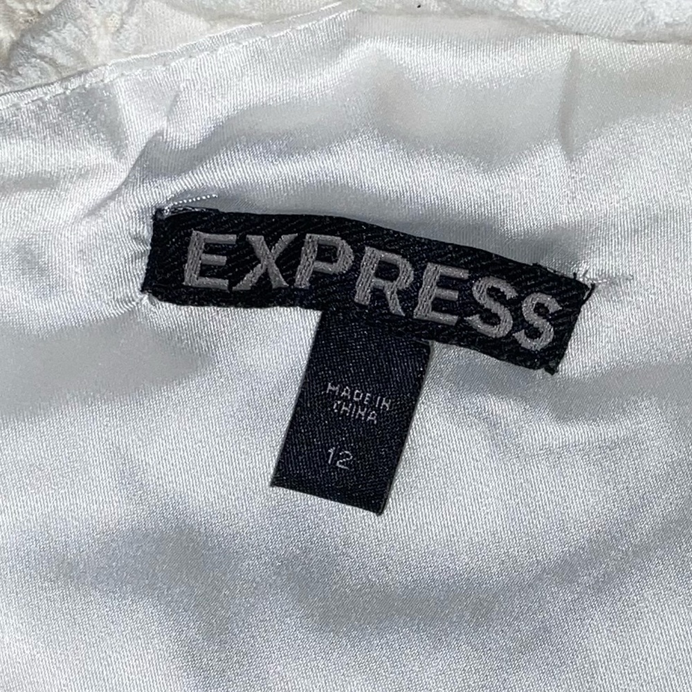 Express Dress - Picture 3 of 3